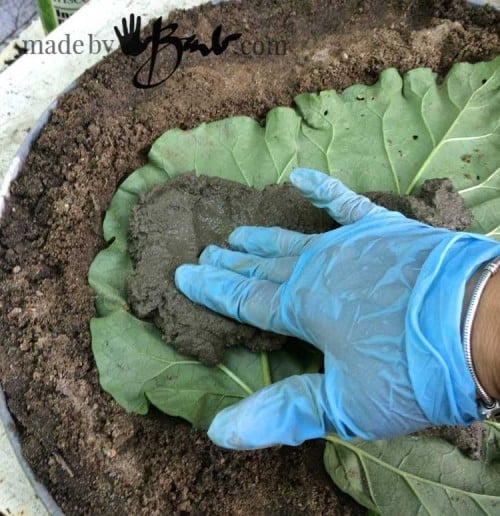 leaf concrete stepping stones - spreading concrete