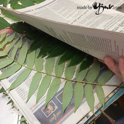 How to Store Leaves for Eco Printing Made By Barb tips to save, collect