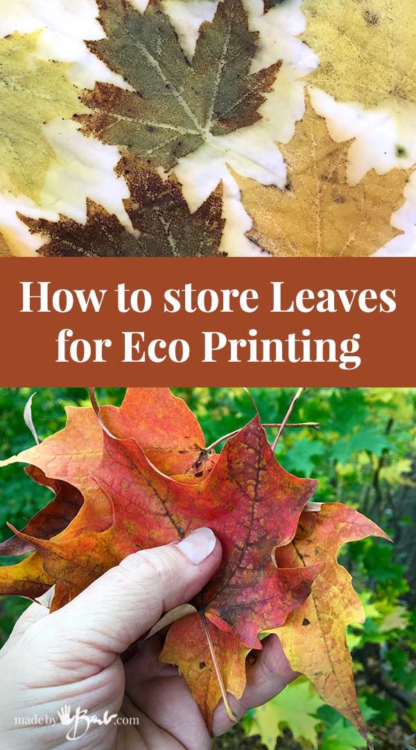 How to Store Leaves for Eco Printing Made By Barb tips to save, collect