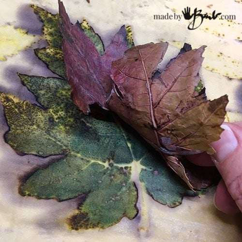 lifting leaf off eco print