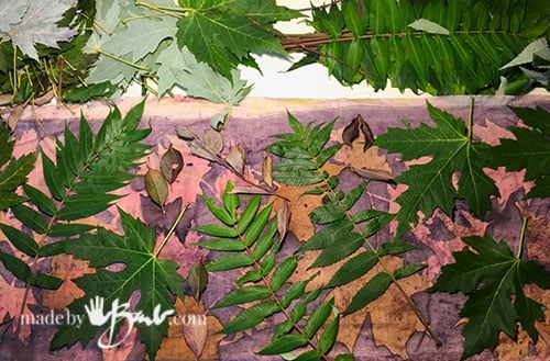 round #2 leaves placed