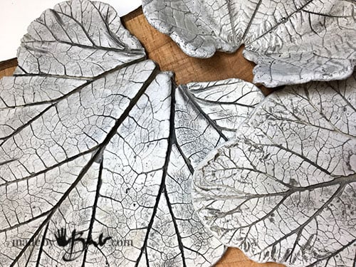 Large leaves accenting the vein patterns