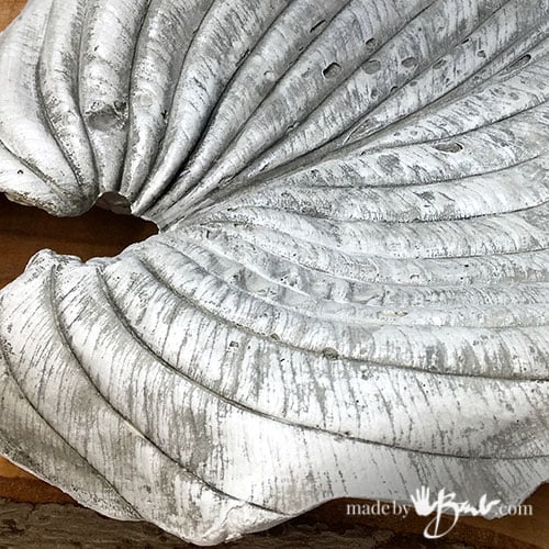 close up of concrete hosta leaf