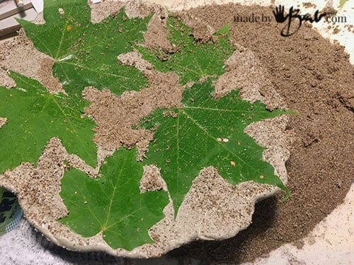 plate turned over to show leaves imbedded