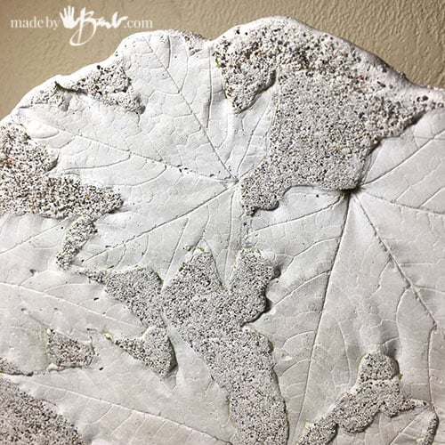 closeup of leaves details in concrete