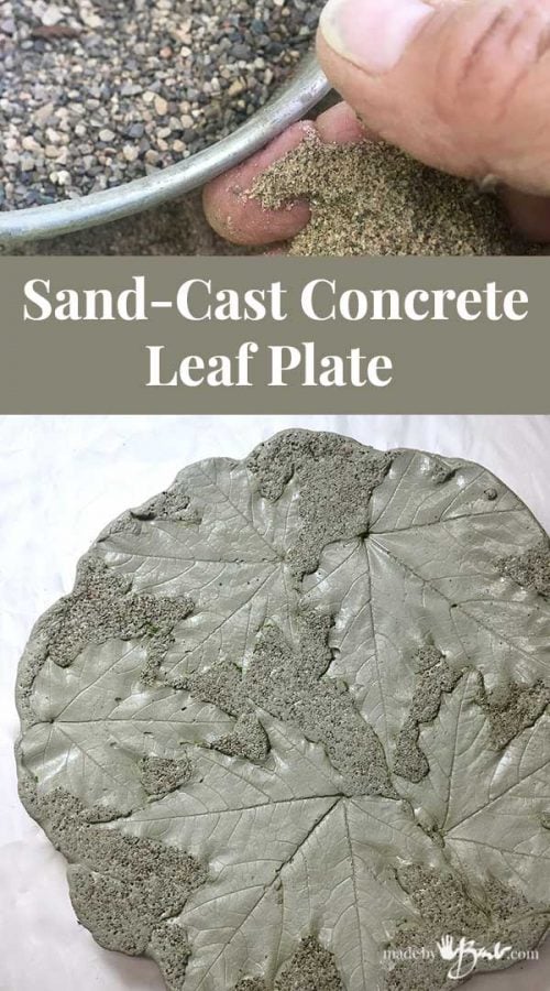 feature image with concrete plate with imbedded leaves