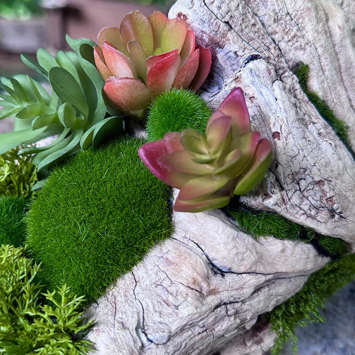 How to Make a Faux Succulent Garden on Driftwood