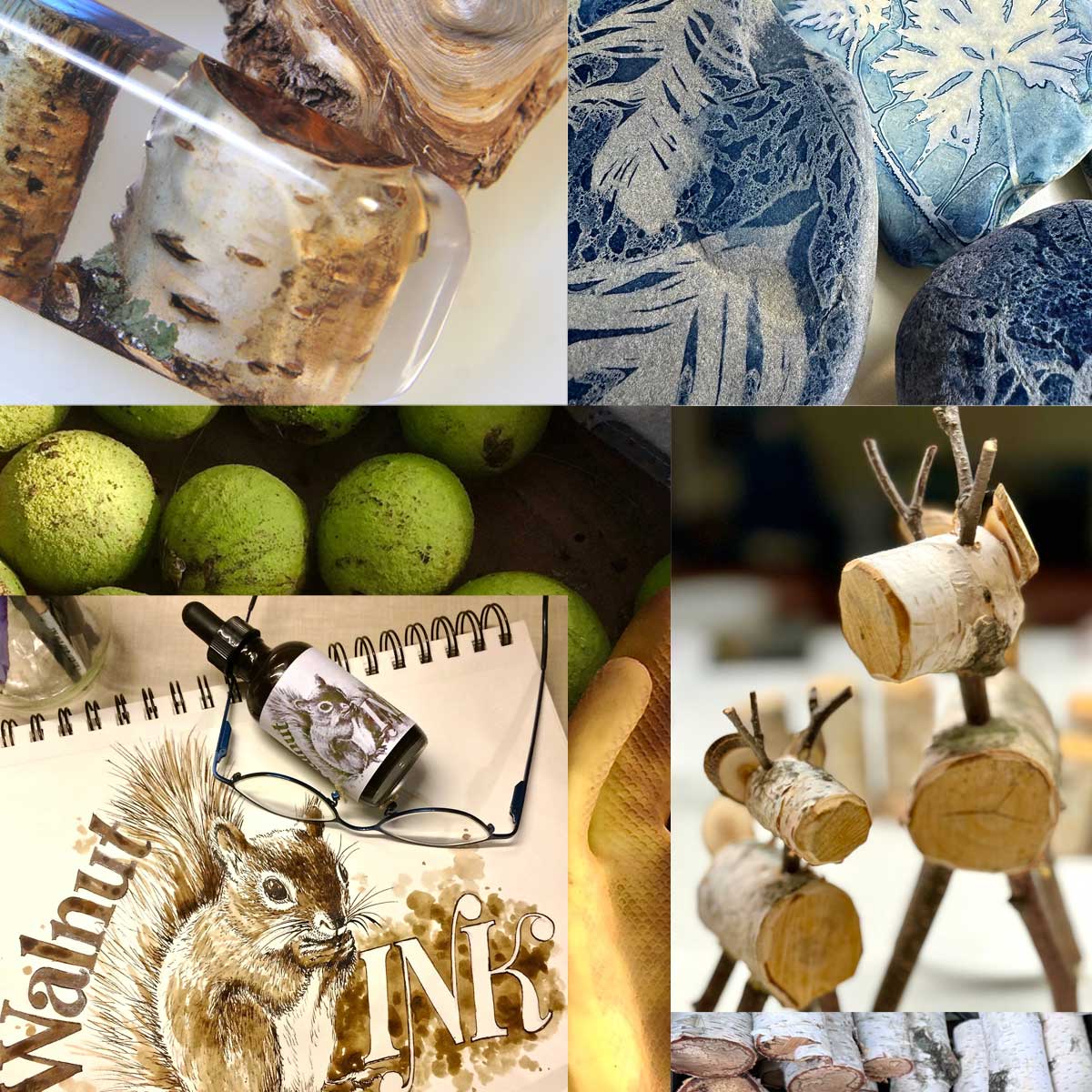 Forage, Find & Create: Amazing DIY Projects Made with Nature’s Treasures